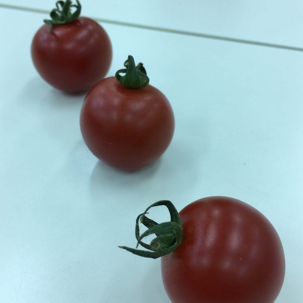 ９、3個のトマトを撮影しました。