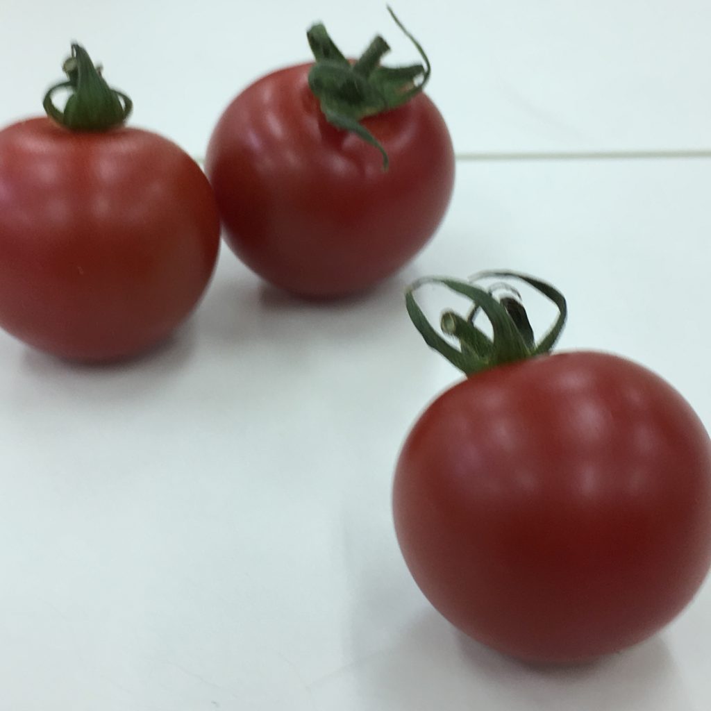 １４、1個のトマトと2個のトマトの画像