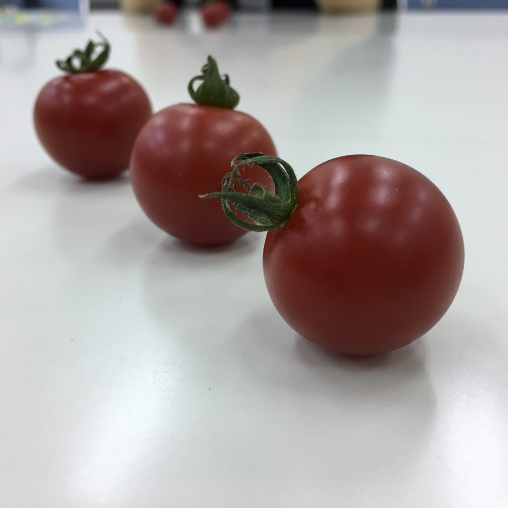１１、3個のトマトを撮影した画像