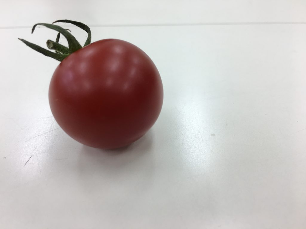 １、トマトの写真
