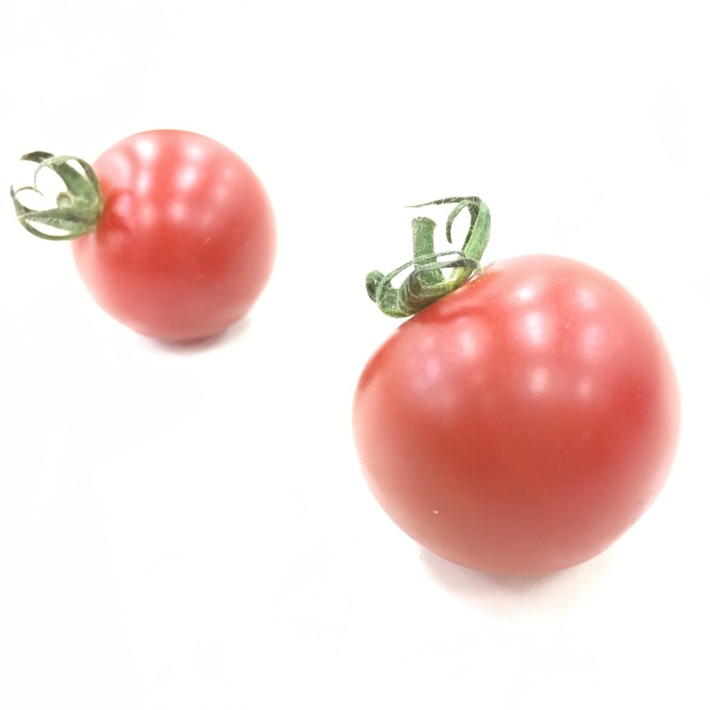 光を当てて2個のトマトを撮影した画像